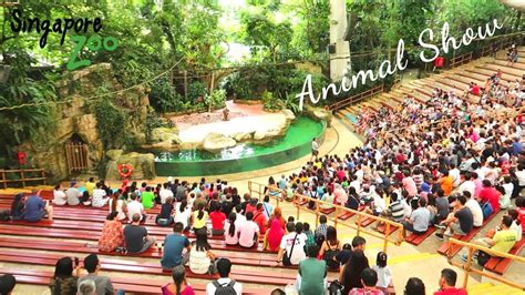 singapore zoo animal show